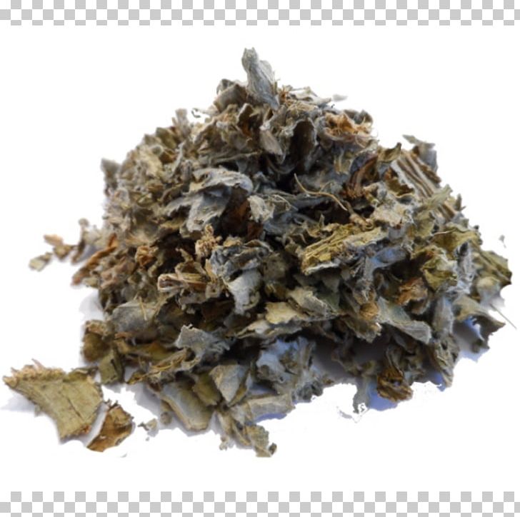 Oolong Nilgiri Tea Green Tea Darjeeling Tea PNG, Clipart, Artichoke, Bai Mudan, Bancha, Bergamot Orange, Black Tea Free PNG Download