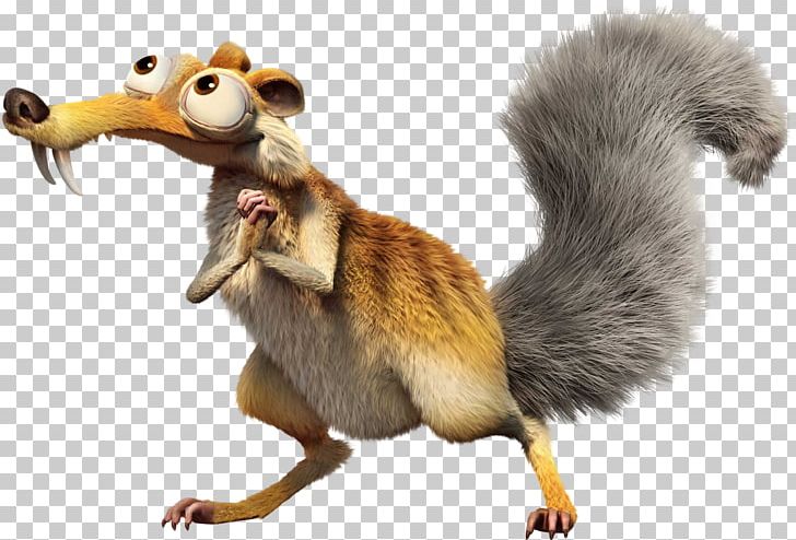 Scrat Ice Age Blue Sky Studios Film Animation PNG, Clipart, 20th Century Fox, Animals, Blue Sky Studios, Chris Wedge, Common Opossum Free PNG Download