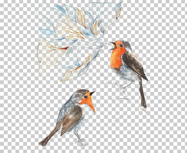 Bird Parrot Illustration PNG, Clipart, Animals, Art, Banner, Beak, Branch Free PNG Download