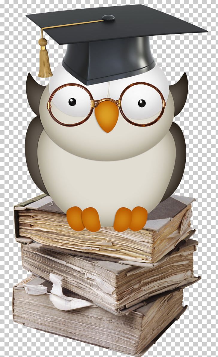 Information Book Computer Software PNG, Clipart, Bibliography, Bird, Bird Of Prey, Book, Computer Software Free PNG Download