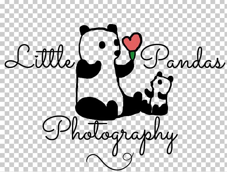 Logo Little Pandas Photography Bear Giant Panda Mammal PNG, Clipart, Animals, Area, Art, Artwork, Bear Free PNG Download