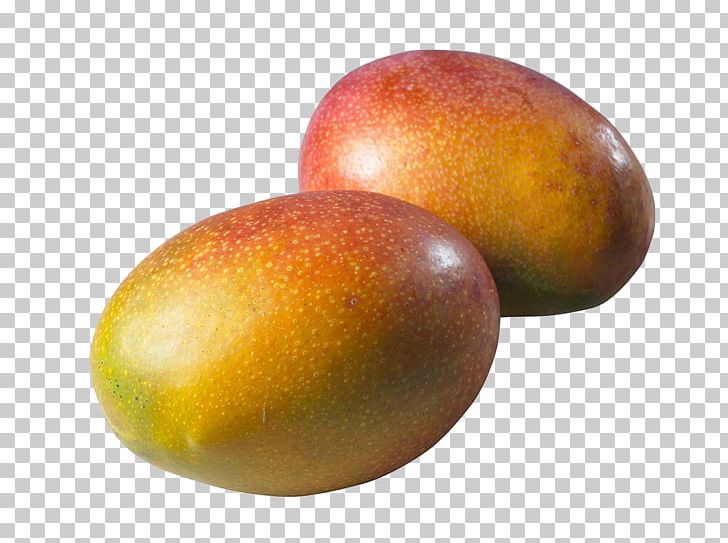 Mango Fruit PNG, Clipart, Euclidean Vector, Food, Fresh, Fresh Mango, Fruit Nut Free PNG Download