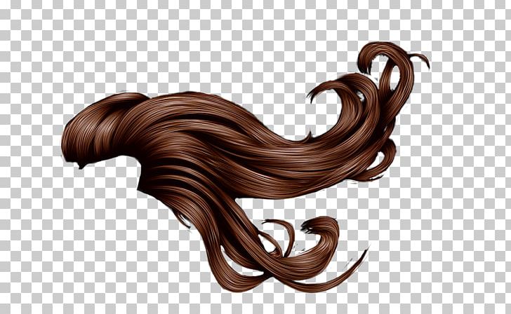 Red Hair Long Hair Wig PNG, Clipart, Barrette, Black Hair, Brown Hair, Canities, Hair Free PNG Download