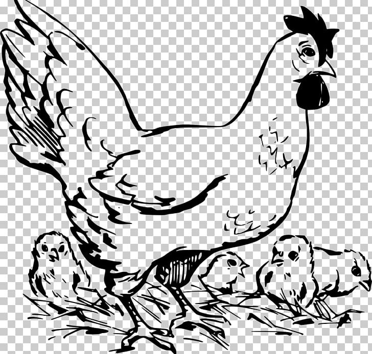 Silkie Polish Chicken Dorking Chicken Broiler White Cut Chicken PNG, Clipart, Art, Beak, Bird, Black, Black And White Free PNG Download