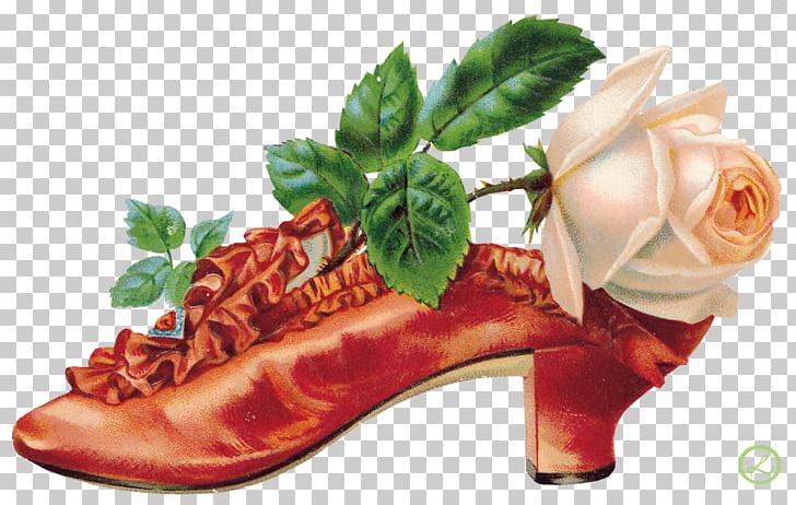YouTube Decoupage PNG, Clipart, Clip Art, Decoupage, Flower, Food, Footwear Free PNG Download