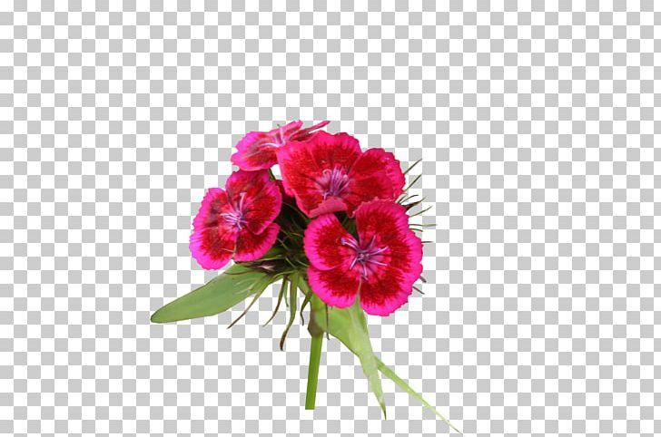Cut Flowers Plant Carnation Floral Design PNG, Clipart, Annual Plant, Carnation, Cut Flowers, Dianthus, Floral Design Free PNG Download