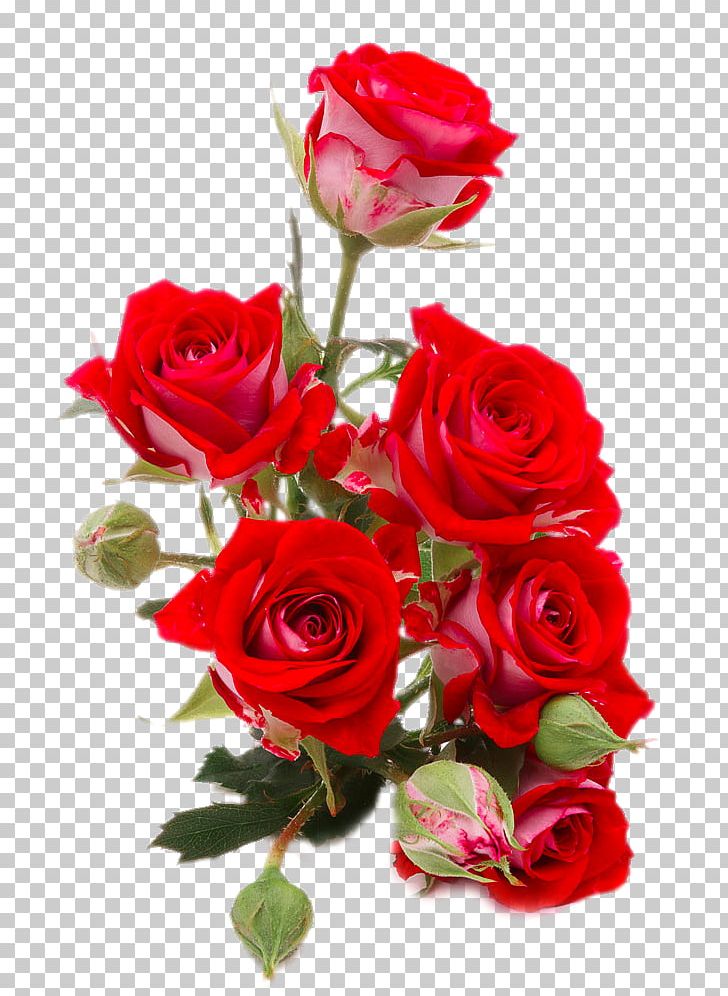 Flower Bouquet Rose Red Stock Photography PNG, Clipart, Artificial Flower, Clips, Color, Floral Design, Floribunda Free PNG Download