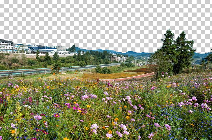 Landscape Painting PNG, Clipart, Attractions, Farm, Fig, Flower, Flowers Free PNG Download