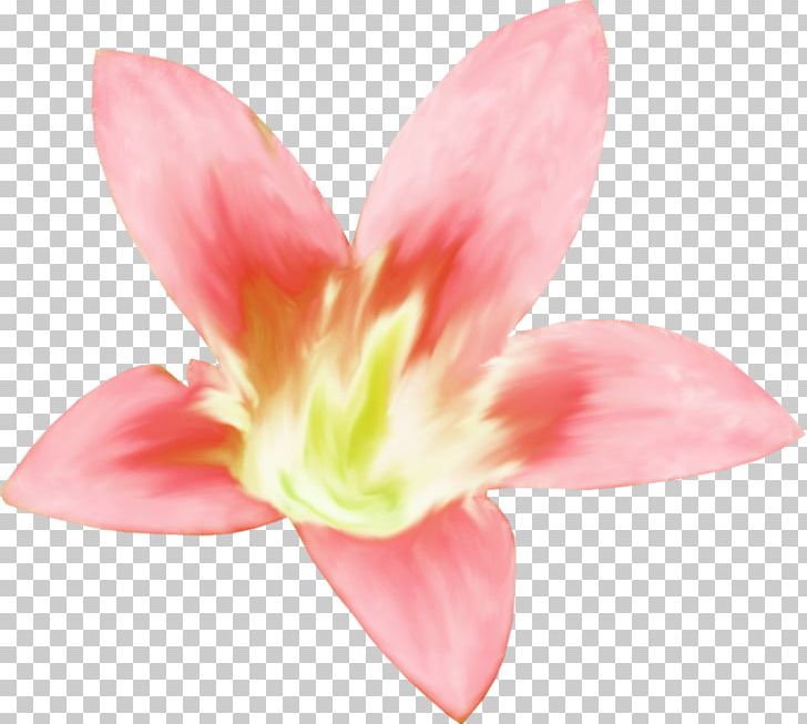 Art Painting Photography PNG, Clipart, Amaryllis Belladonna, Art, Digital Art, Fine Art, Flower Free PNG Download