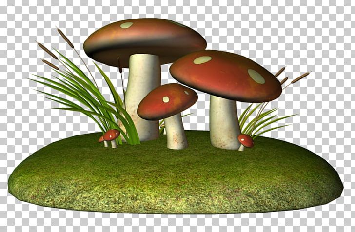 Drawing Fungus Mushroom Pencil PNG, Clipart, Autumn, Champagne, Clock, Drawing, Fungus Free PNG Download