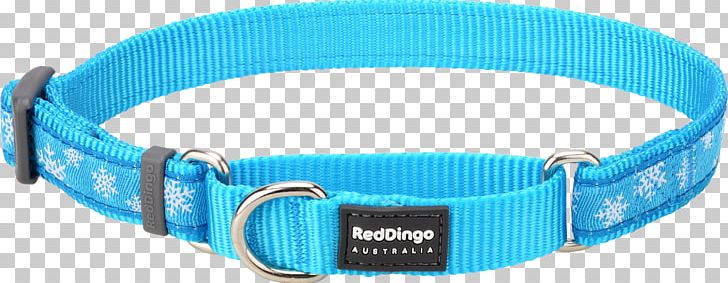 Martingale Dog Collar WholesalePet.com PNG, Clipart, Aqua, Blue, Collar, Dog, Dog Collar Free PNG Download