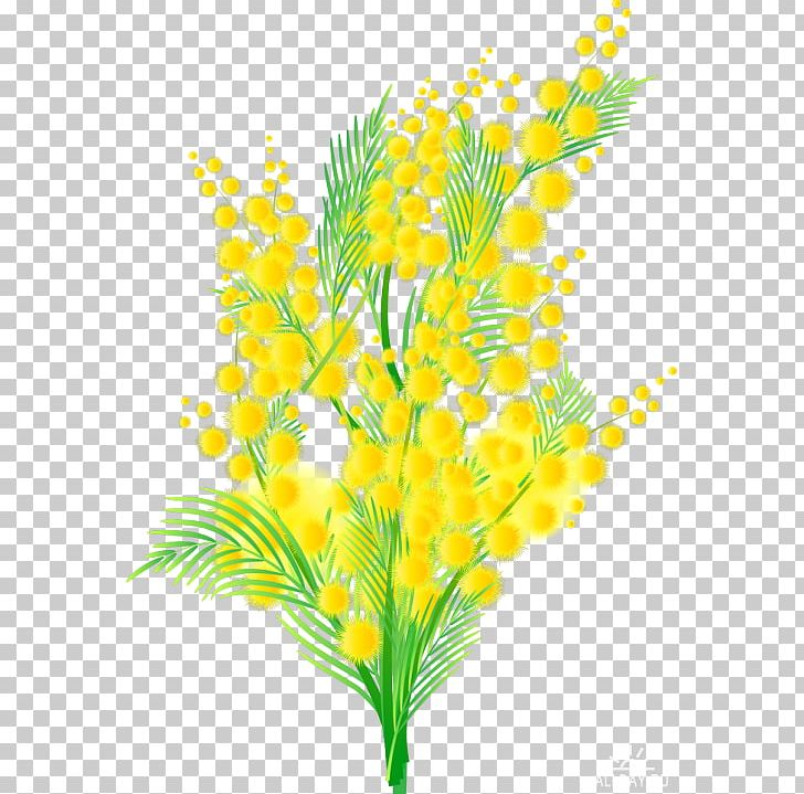 Mimosa Bellini Cocktail Martini Champagne PNG, Clipart, Acacia Dealbata, Aquarium Decor, Bellini, Branch, Champagne Free PNG Download