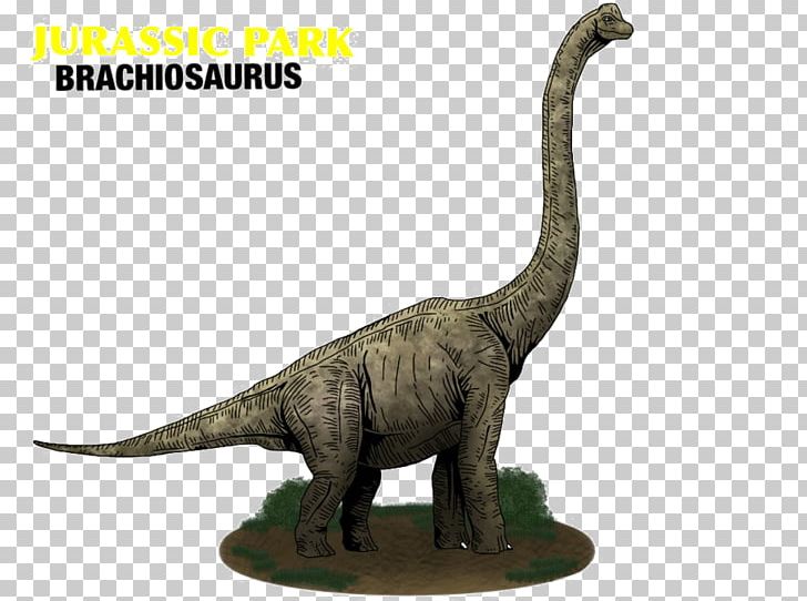 Brachiosaurus Jurassic World Evolution Jurassic Park Builder Apatosaurus PNG, Clipart, Animal Figure, Apatosaurus, Bros, Fauna, Good Dinosaur Free PNG Download