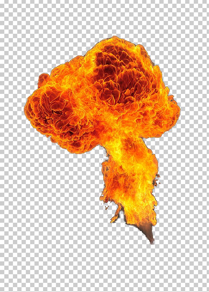 Fire Explosion Flame PNG, Clipart, Art, Download, Euclidean Vector, Explosion, Fire Free PNG Download