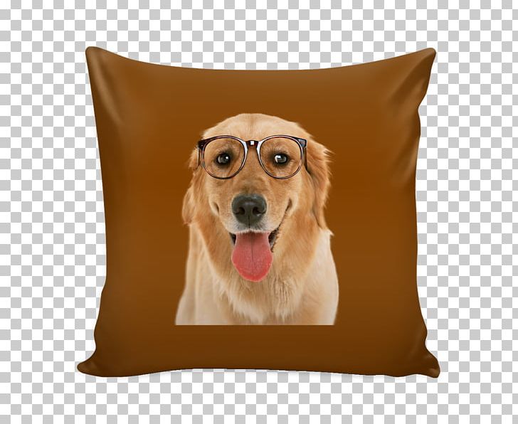 Golden Retriever Throw Pillows Chair Bed PNG, Clipart, Bed, Bed Frame, Bed Size, Bluza, Carnivoran Free PNG Download