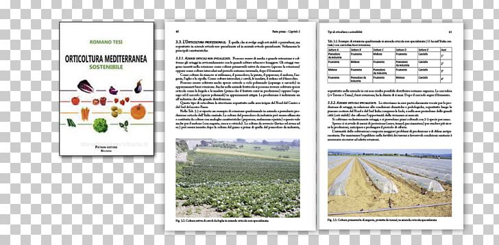 Orticoltura Mediterranea Sostenibile Brochure Romano Tesi PNG, Clipart, Brochure, Others, Text, Tree Free PNG Download