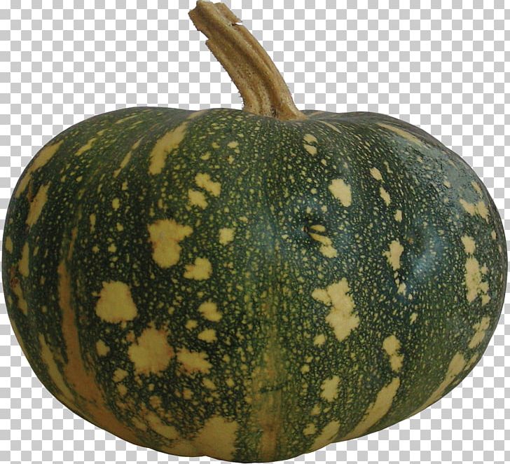 Pumpkin Figleaf Gourd Calabaza Melon Winter Squash PNG, Clipart, Bitter Melon, Character, Cucumber Gourd And Melon Family, Cucurbita, Delicious Melon Free PNG Download