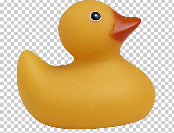 Rubber Duck Toy PNG, Clipart, Animals, Baby Rattle, Bathing, Bathroom, Bathtub Free PNG Download
