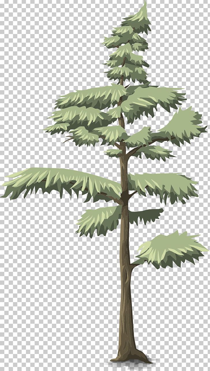 Spaceship Mission Tree PNG, Clipart, 3d Computer Graphics, Branch, Conifer, Download, Evergreen Free PNG Download