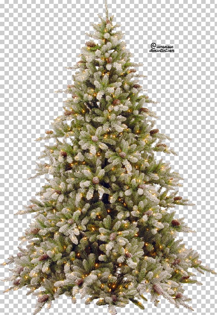 Christmas Tree PNG, Clipart, Abies Concolor, Artificial Christmas Tree, Balsam Fir, Balsam Hill, Beautiful Free PNG Download