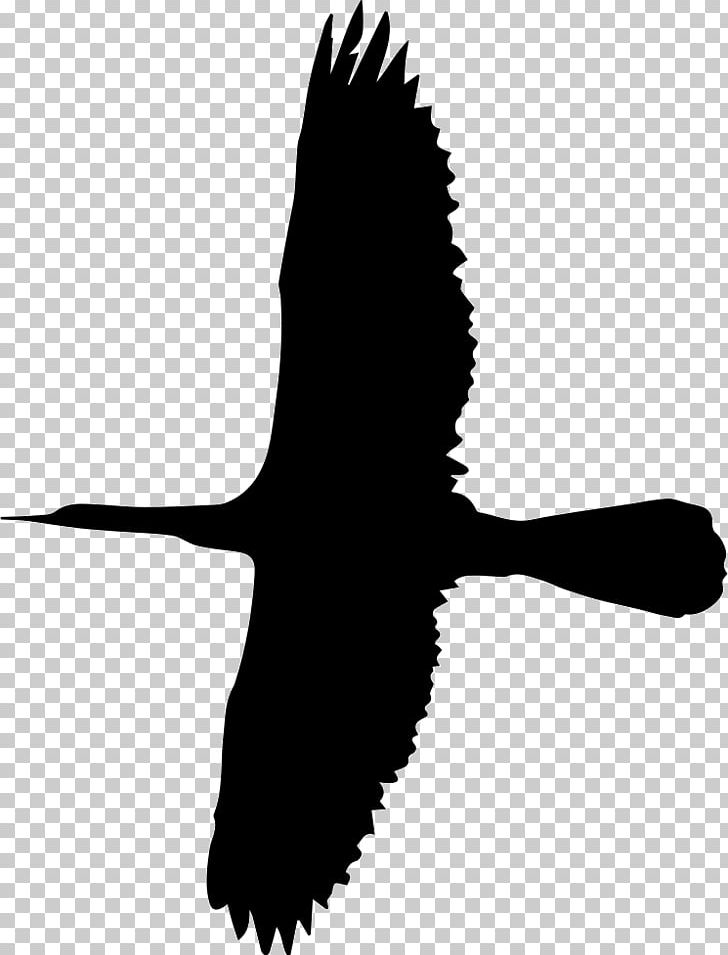 Duck Bird Silhouette Computer Icons PNG, Clipart, Animal, Animals, Beak, Big Bird, Bird Free PNG Download