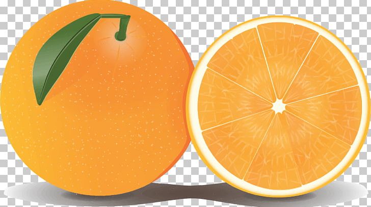 Grapefruit Orange Lemon PNG, Clipart, Art, Citric Acid, Citrus, Clementine, Diet Food Free PNG Download