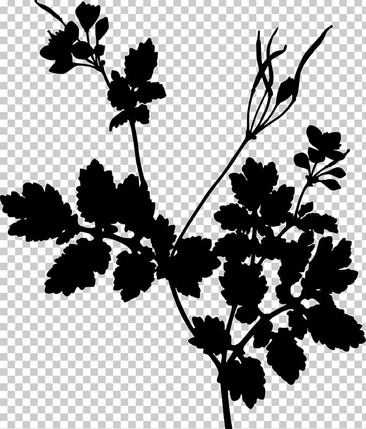 Greater Celandine Herb Medicinal Plants Book PNG, Clipart, Book, Botany, Branch, Chelidonium, Flora Free PNG Download
