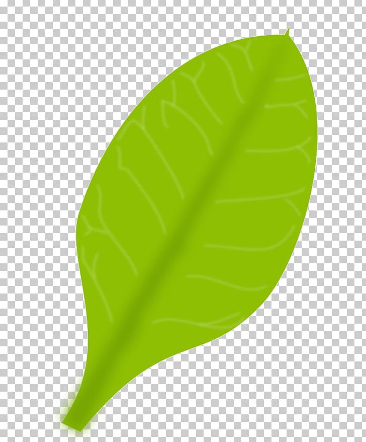 Leaf PNG, Clipart, Animation, Banana Leaf, Computer Icons, Grass, Green Free PNG Download