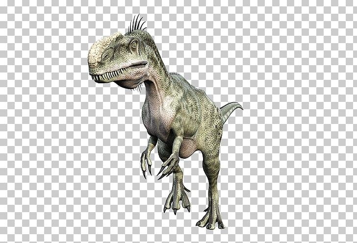Tyrannosaurus Ceratosaurus Monolophosaurus Velociraptor Abelisaurus PNG, Clipart, 3d Dinosaurs, 3d Rendering, Anchisaurus, Carnivore, Cartoon Dinosaur Free PNG Download