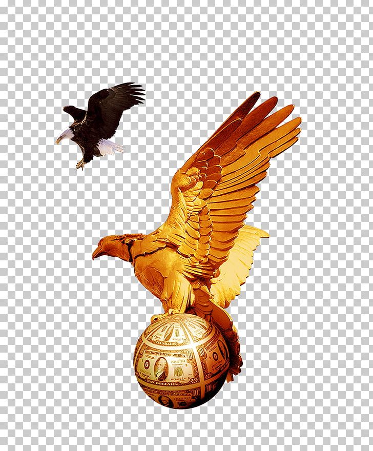 Bald Eagle Golden Eagle Statue Sculpture PNG, Clipart, Accipitriformes, Animal, Animals, Bald Eagle, Beak Free PNG Download