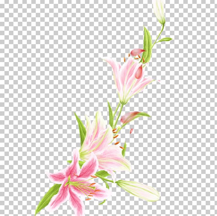 Floral Design Pink Lilium Flower PNG, Clipart, Blossom, Cut Flowers, Euclidean Vector, Fleurdelis, Flora Free PNG Download