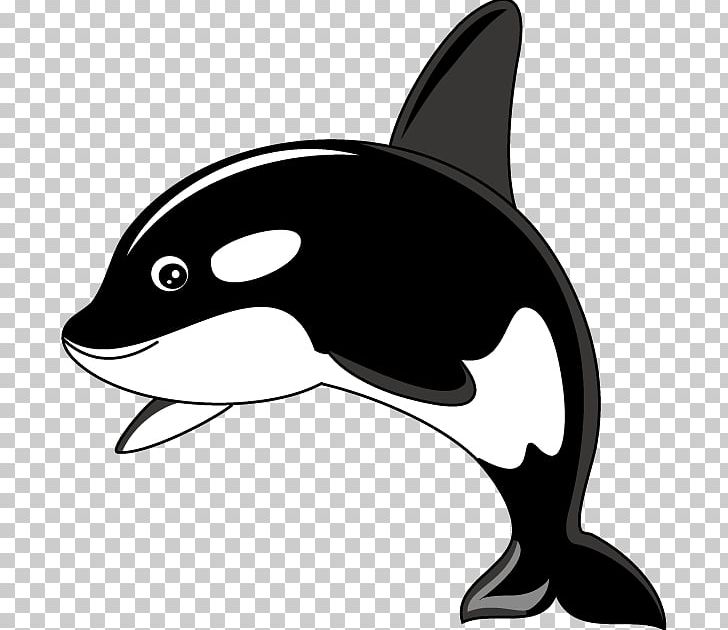 Killer Whale Humpback Whale PNG, Clipart, Black, Black And White, Blog, Carnivoran, Cat Like Mammal Free PNG Download