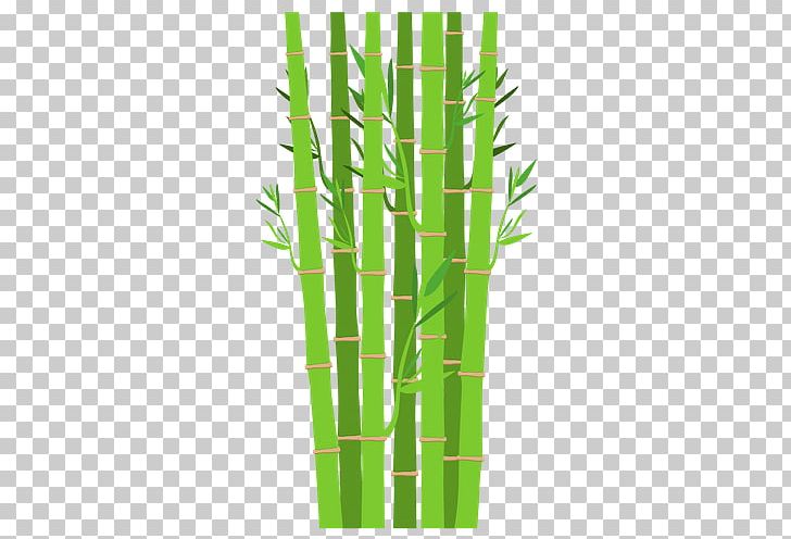 Plant PNG, Clipart, Art, Bamboo, Cartoon, Culture, Design Free PNG Download