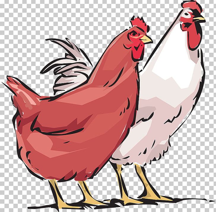 Chicken As Food Poultry Farming Rooster PNG, Clipart, Artwork, Beak, Bird, Chicken, Chicken As Food Free PNG Download