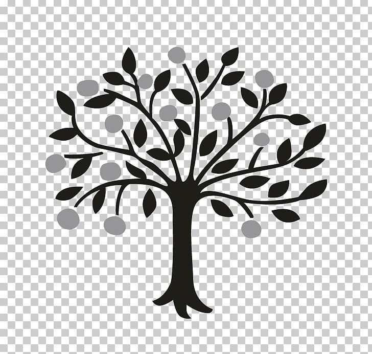 Draw Trees Drawing Bay Laurel Lemon PNG, Clipart, Bay Laurel, Black And White, Border, Branch, Draw Free PNG Download