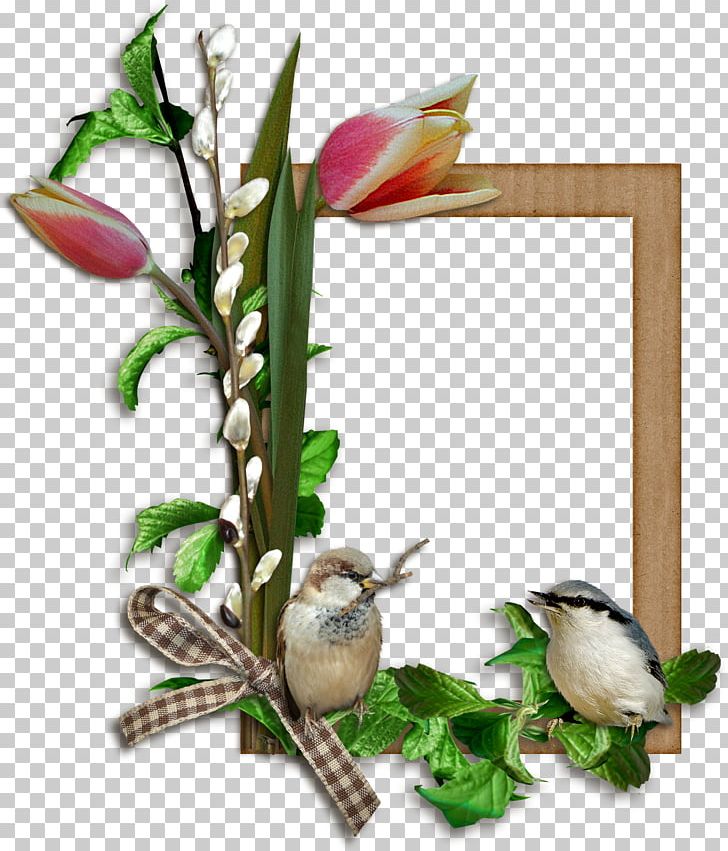 Frames PNG, Clipart, Bird, Branch, Cdr, Decorative Arts, Dots Per Inch Free PNG Download