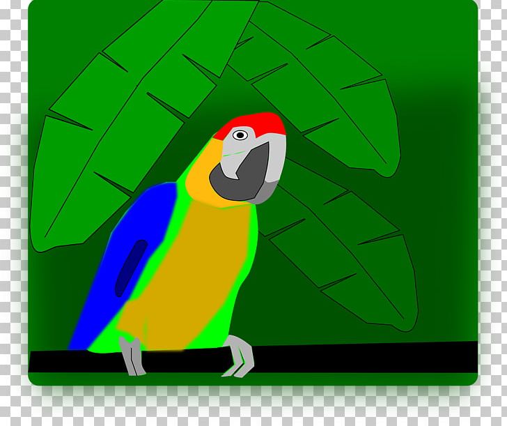Macaw Parrot Bird PNG, Clipart, Animal, Animals, Beak, Bird, Download Free PNG Download