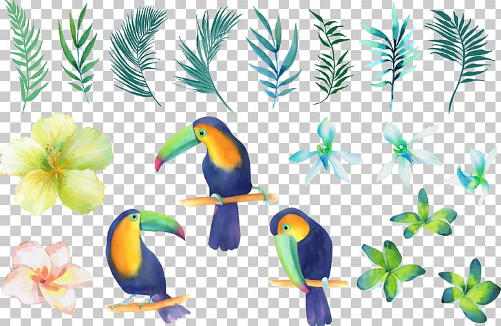 Parrot Beak Watercolor Painting PNG, Clipart, Animals, Bird, Birds, Branches, Color Free PNG Download