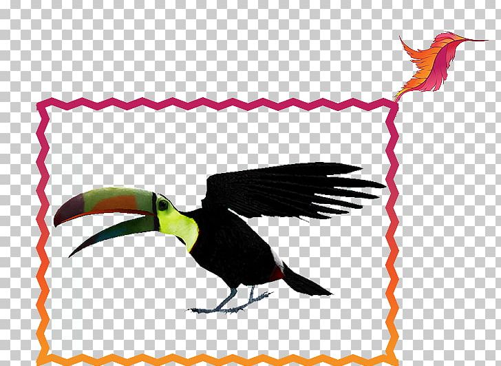 Toucan Beak Feather PNG, Clipart, Animals, Artwork, Beak, Bird, Fauna Free PNG Download