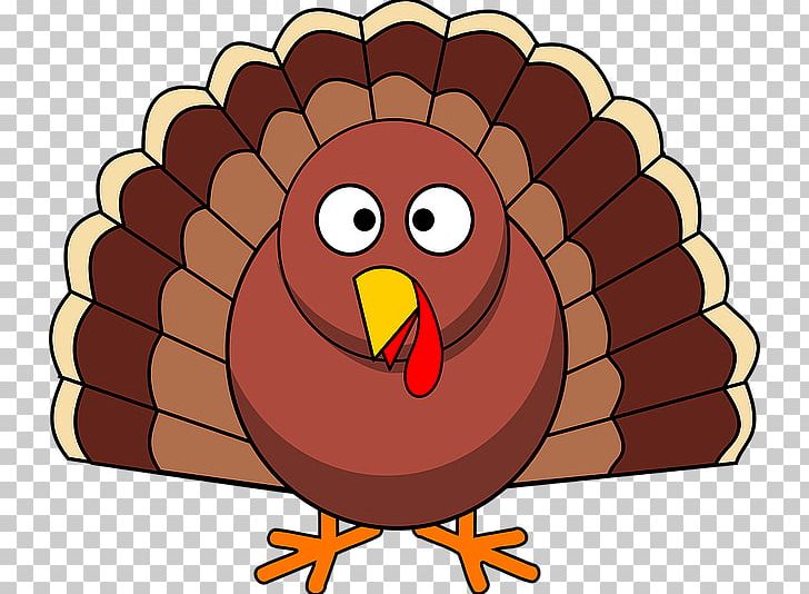 Turkey Meat Thanksgiving Dinner Pilgrim PNG, Clipart, Beak, Bird, Cartoon, Chicken, Christmas Free PNG Download