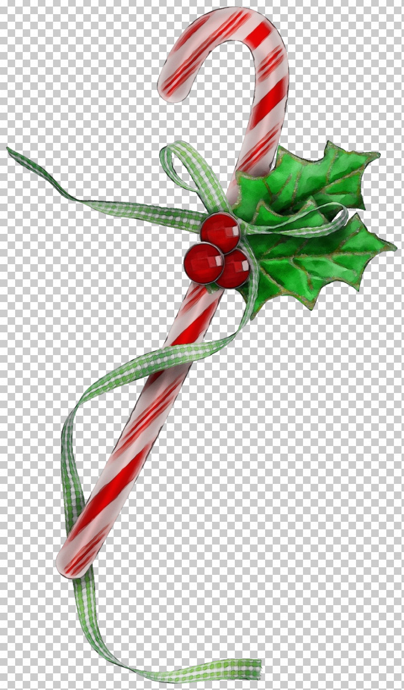 Candy Cane PNG, Clipart, Bauble, Biology, Candy Cane, Christmas Day, Christmas Ornament M Free PNG Download