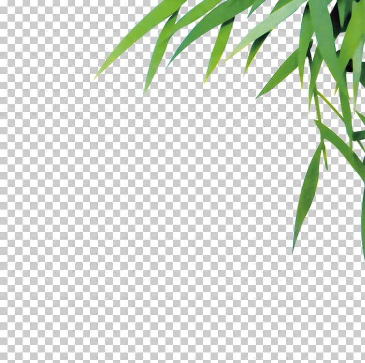 Bamboo Leaf Euclidean PNG, Clipart, Adobe Illustrator, Angle, Bamboe, Bamboo, Bamboo Border Free PNG Download