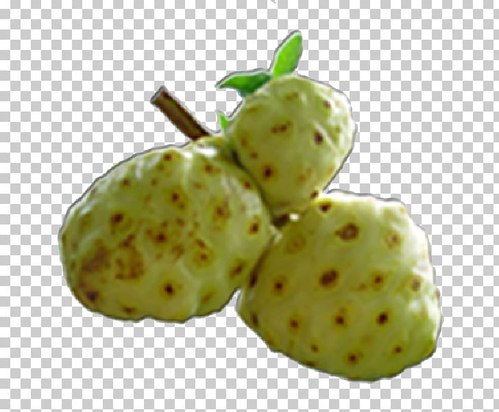 Cheese Fruit Food Health Annona Morinda PNG, Clipart, Annona, Auglis, Cheese Fruit, Diet, Eating Free PNG Download