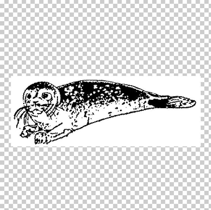 Earless Seal Drawing Marine Mammal Beak PNG, Clipart, Beak, Bird, Black, Black And White, Black M Free PNG Download