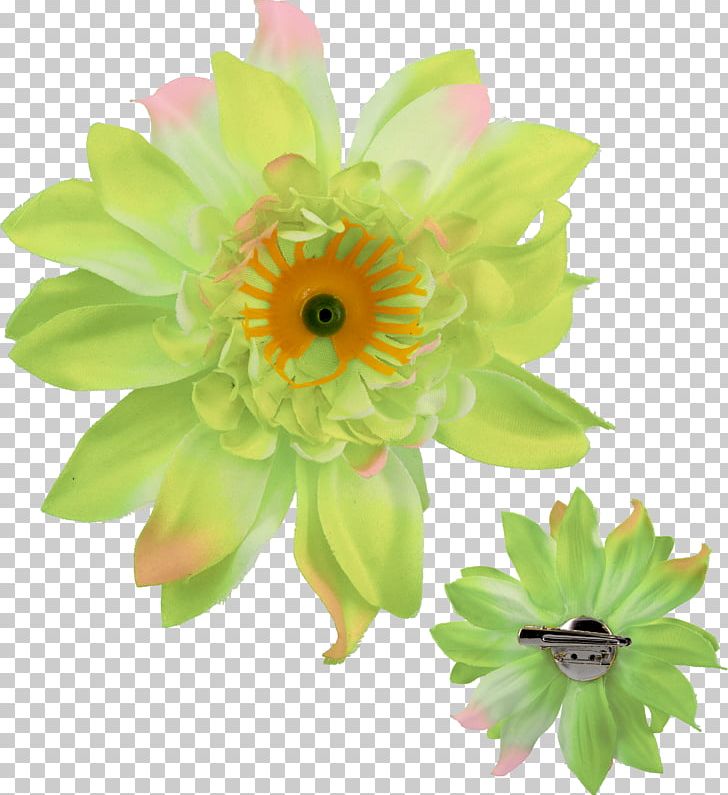 Transvaal Daisy Rintaneula Cut Flowers Floral Design Diameter PNG, Clipart, Annual Plant, Bicycle Frames, Bow Tie, Cut Flowers, Daisy Family Free PNG Download