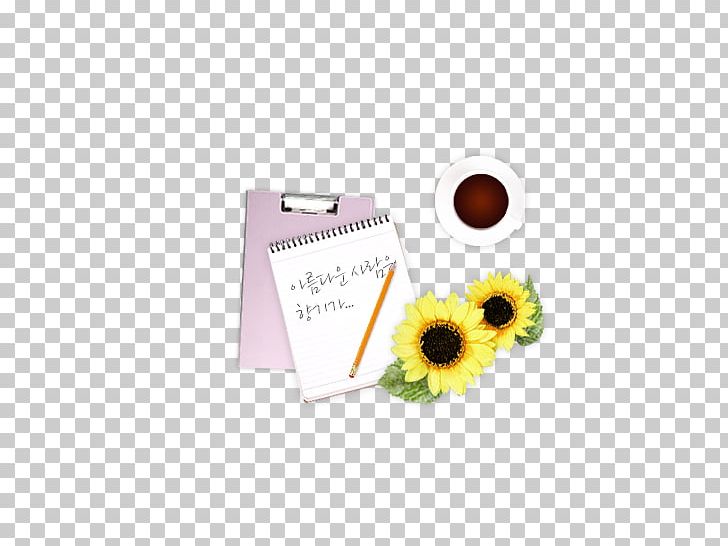 Icon Design Diary Icon PNG, Clipart, Adobe Illustrator, Daisy Family, Diary, Flower, Flowering Plant Free PNG Download