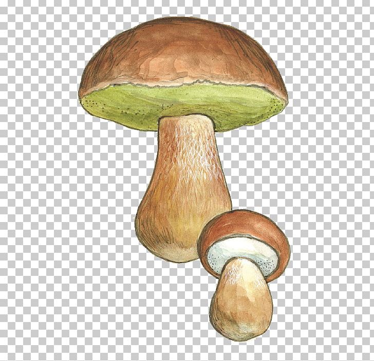 Pleurotus Eryngii Boletus Edulis Penny Bun Fungus Edible Mushroom PNG, Clipart, Bolete, Boletus Edulis, Chanterelle, Dotted Stem Bolete, Edible Mushroom Free PNG Download