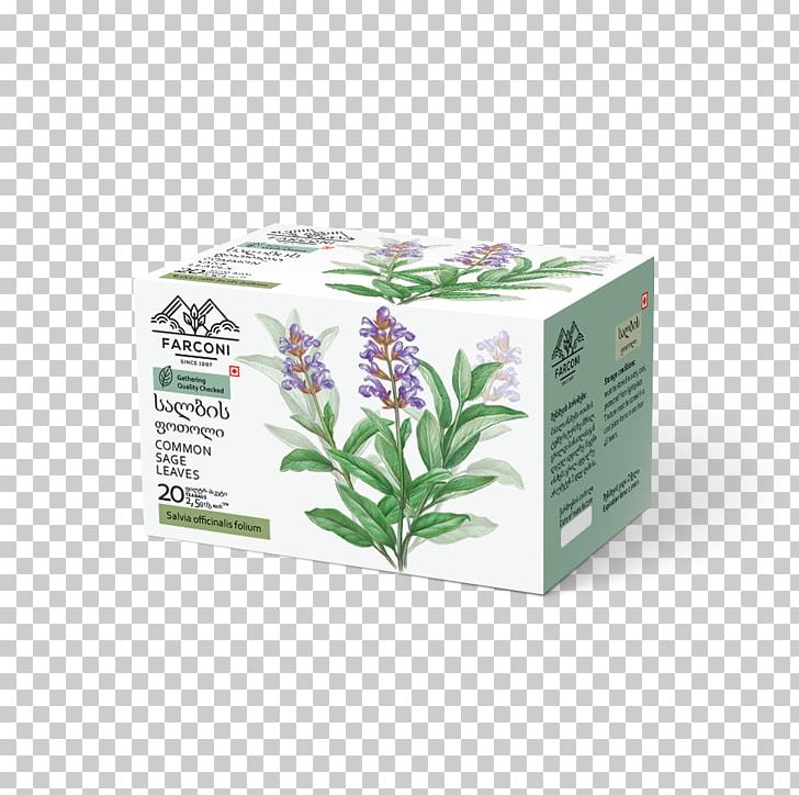 Herbalism PNG, Clipart, Common Sage, Herb, Herbal, Herbalism, Plant Free PNG Download