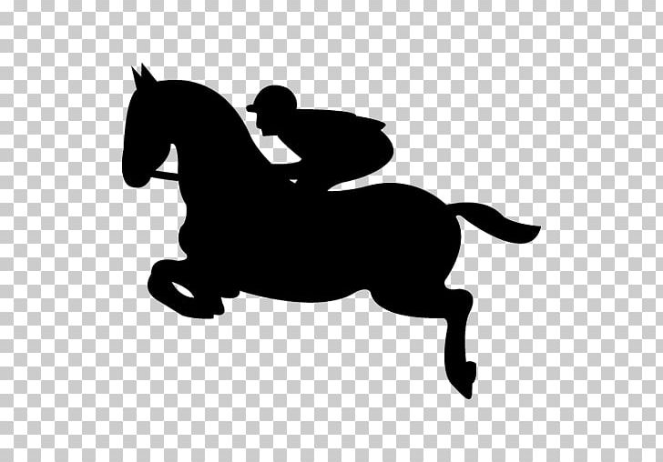 Horse Equestrian Show Jumping Jockey PNG, Clipart, Barrel Racing, Black, Black And White, Bridle, Collection Free PNG Download