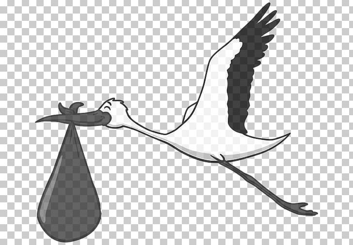 White Stork Child Nevus Flammeus Nuchae Shop Bociek. Trolleys PNG, Clipart, Art, Bird, Branch, Child, Fauna Free PNG Download